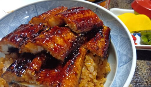 今日のいいこと　2026/08/13～休日の一日
