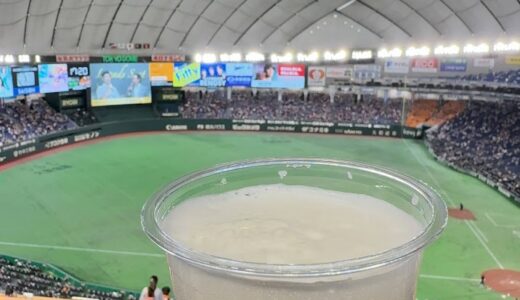 今日のいいこと　2026/08/08～夏休み突入