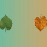 今日のいいこと　2026/09/05～変わったなぁ