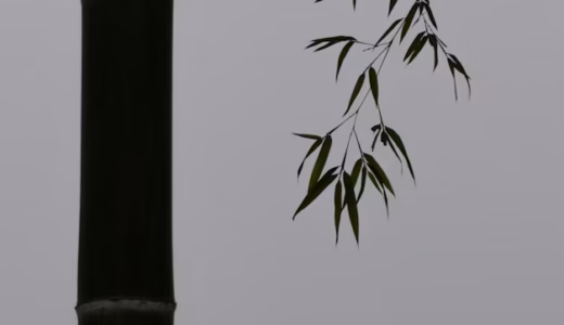 今日のいいこと　2026/10/01～ありがたみ