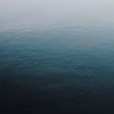 今日のいいこと　2026/10/15～静かな日常